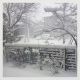 bad62f4e.png