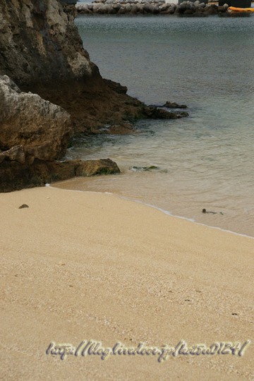 DSC05848