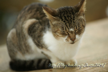 07DSC05900