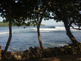 DSC01335