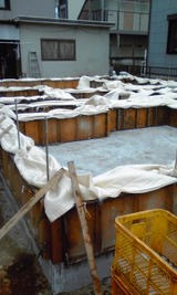 421310e4.jpg