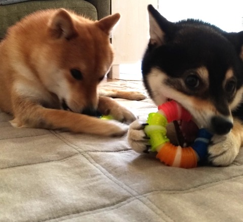 P_20180524_102839_1_1