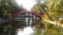 住吉大社・反橋