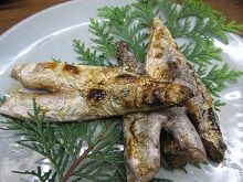 鰹はらんぼ