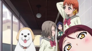 ラブライブ!サンシャイン!! 第2期 第5話『犬を拾う。』