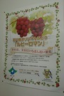 名産のルビーロマン
