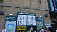 大会6日目でした