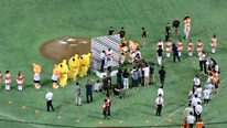 ポケモンGOじゃないけどピカチュウGET