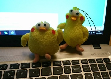 ポインコ