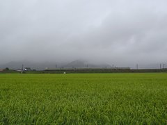 20090804 �䤯��