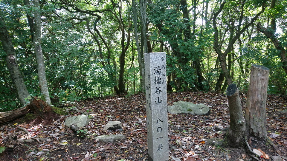 DSC_2510_サイズ変更