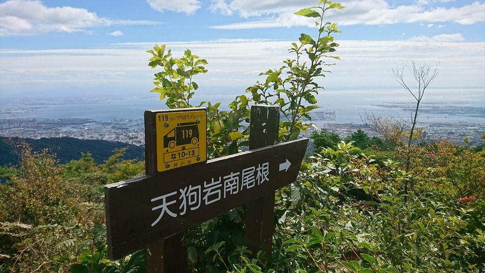 DSC_2524_サイズ変更