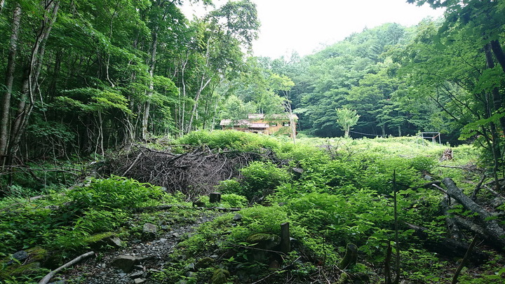 DSC_0993_サイズ変更
