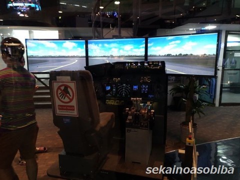 フライトシミュレーター