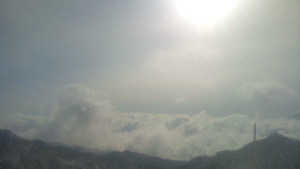 aabd4a58.jpg
