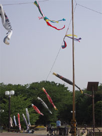 006b0086.jpg