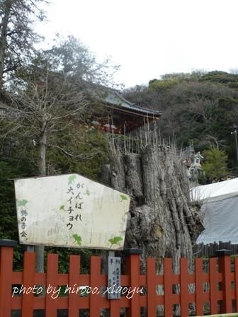 1はちまん