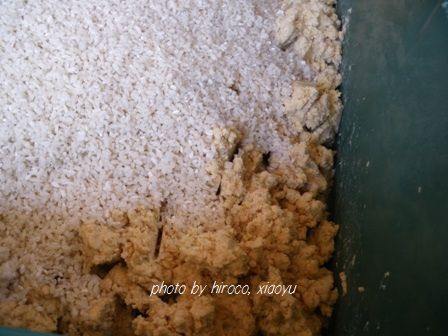3koji