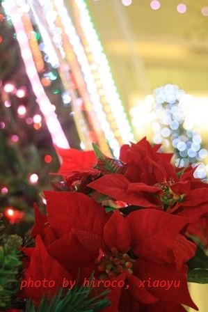 IMG_4196