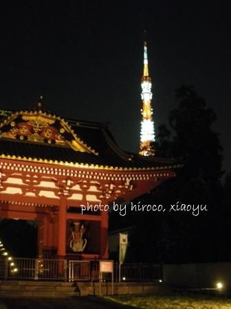 IMGP4393