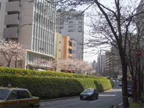45c960e5.jpg