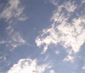 8f3c3803.jpg