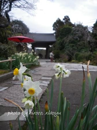 1海蔵寺