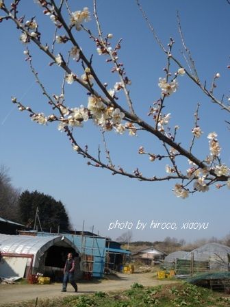 8ume