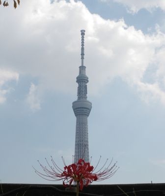 213skytree
