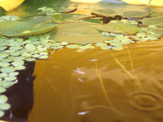 d3836d5e.jpg