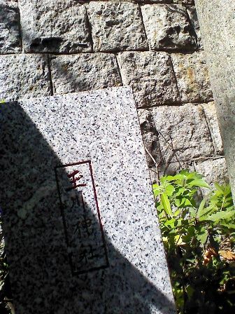 91