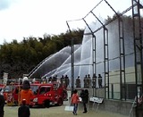c8a6dec6.jpg
