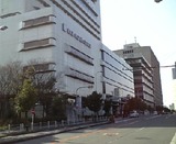 fd42b1a9.jpg