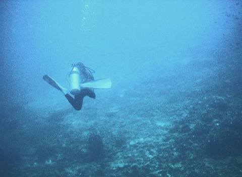 写真7