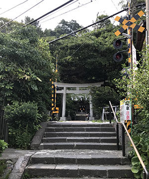 画像_5-1
