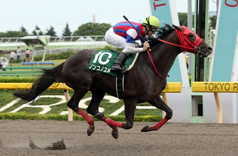 1 競馬ノンコノユメ