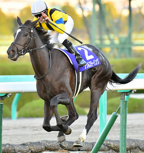 1 競馬　ソウルスターリング　競馬