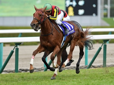 1 競馬　ラッキーライラック