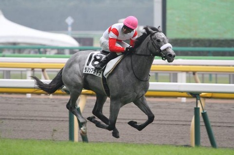 1 競馬 ダノンプラチナ