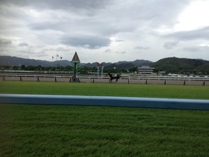 1 競馬 デムーロ