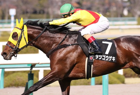 1 競馬 タツゴウゲキ