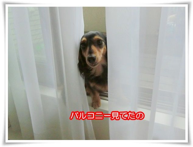 1-20150820.jpg