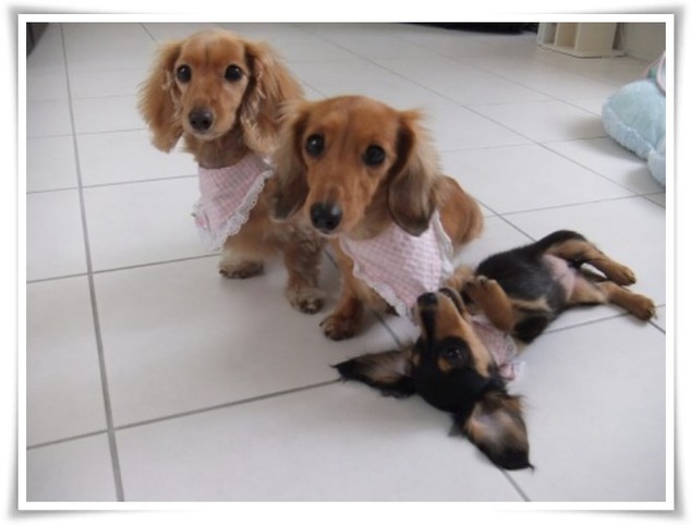 9q6u1xdfy58g27p4ki3o