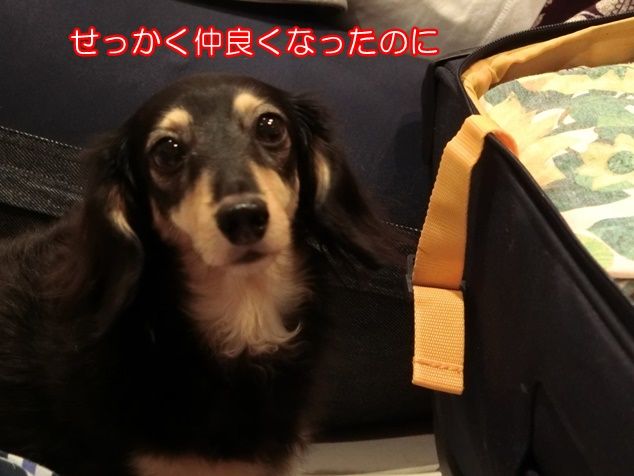 CIMG9243
