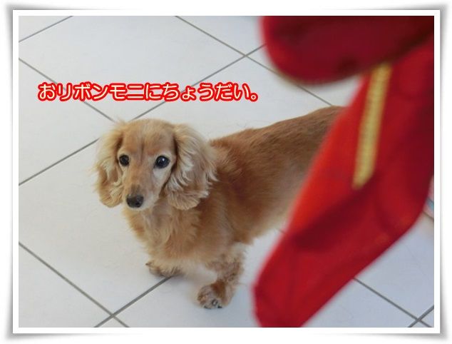 7_201412270849524c6.jpg