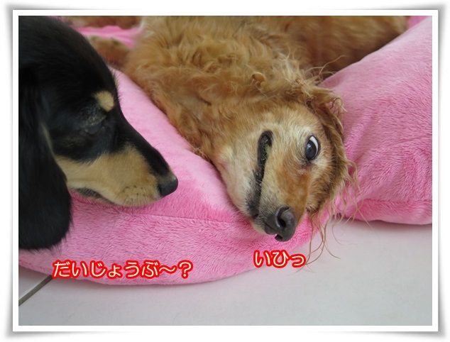 15-20160829.jpg