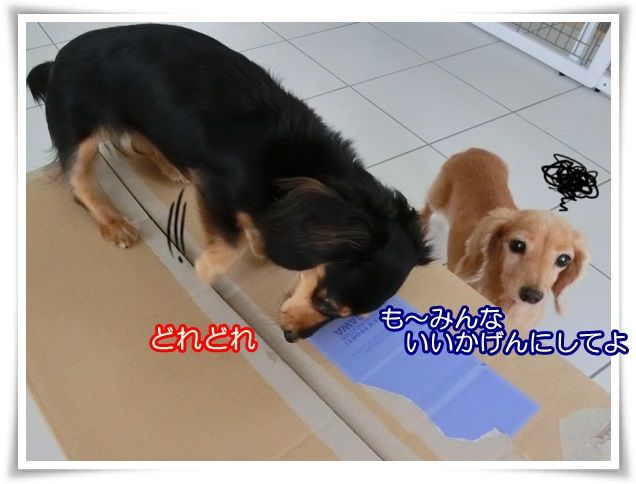 7-20140828.jpg