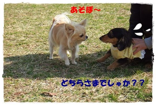 DSCF9256-20121221.jpg