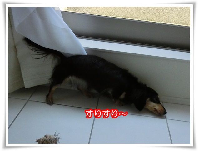 10-20150527.jpg