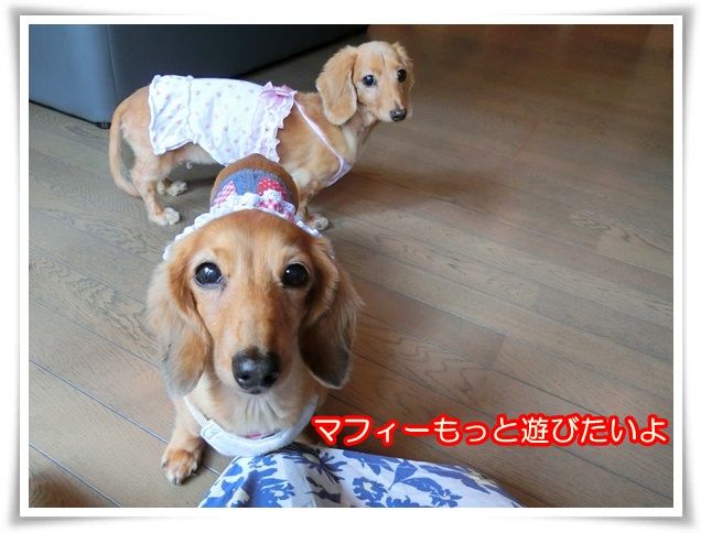 3_2014081208341653d.jpg
